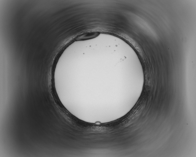 X0000096140437200802151337
