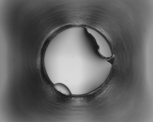 X0000096140440200802151337