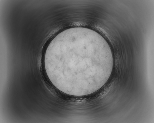 X0000096140443200802151337