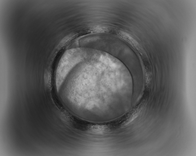X0000096140444200802151337