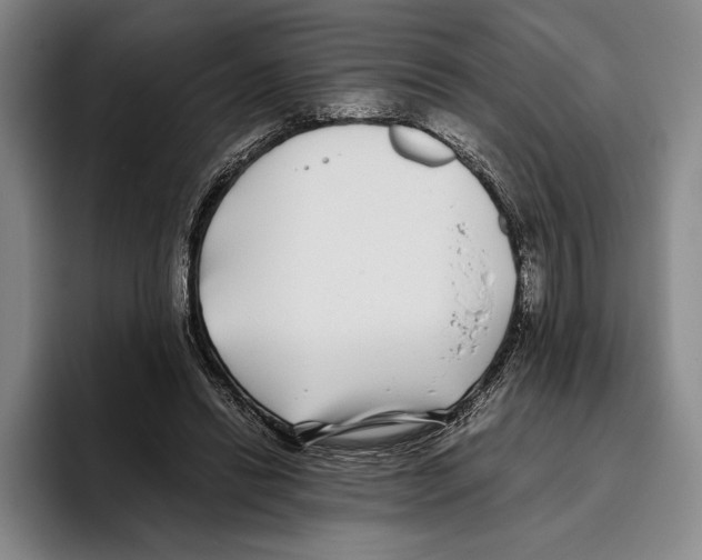 X0000096140446200802151337