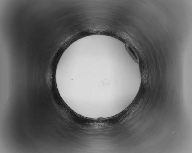 X0000096140448200802151337