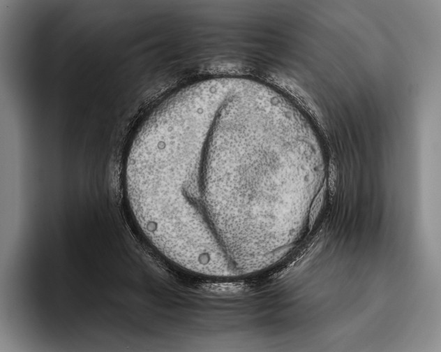 X0000096140449200802151337