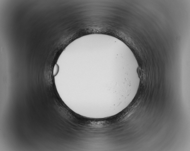 X0000096140450200802151337