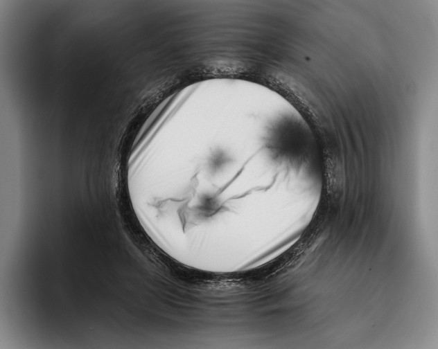 X0000096140451200802151337
