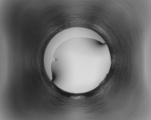 X0000096140452200802151337