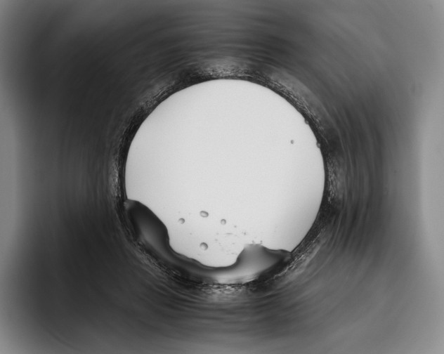 X0000096140453200802151337