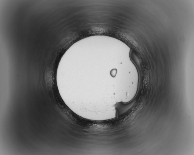 X0000096140455200802151338