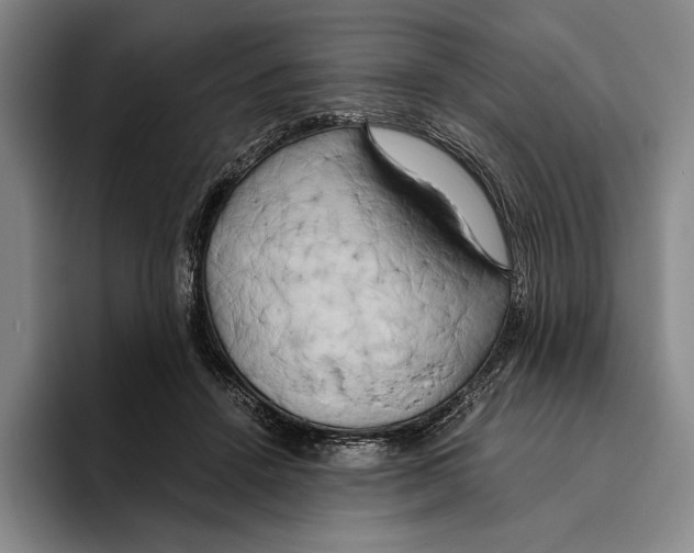 X0000096140456200802151338