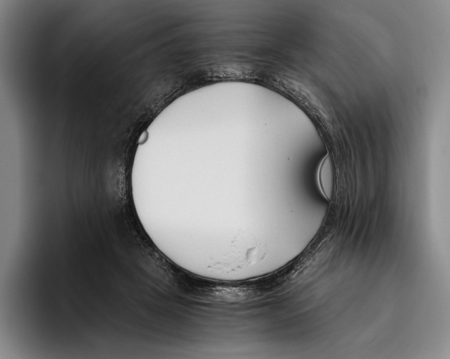 X0000096140457200802151338