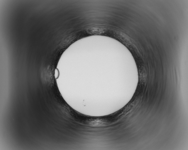X0000096140460200802151338