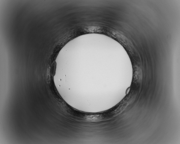 X0000096140461200802151338