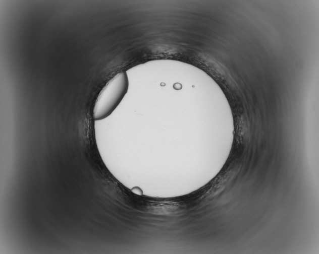 X0000096140463200802151338