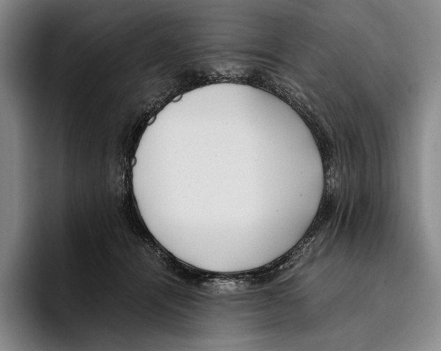 X0000096140464200802151338