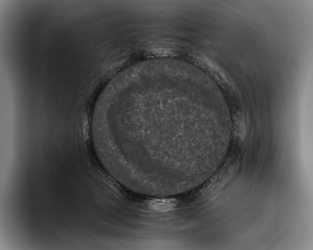 X0000096140465200802151338