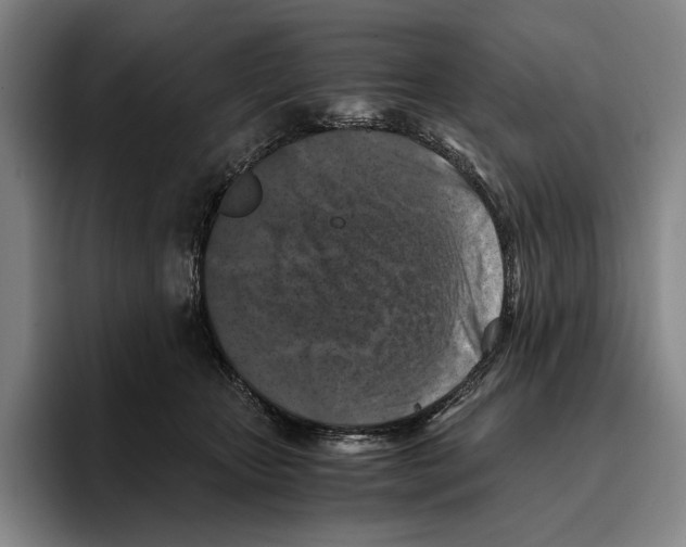 X0000096140467200802151338