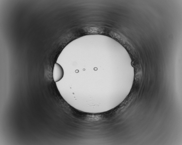 X0000096140469200802151338