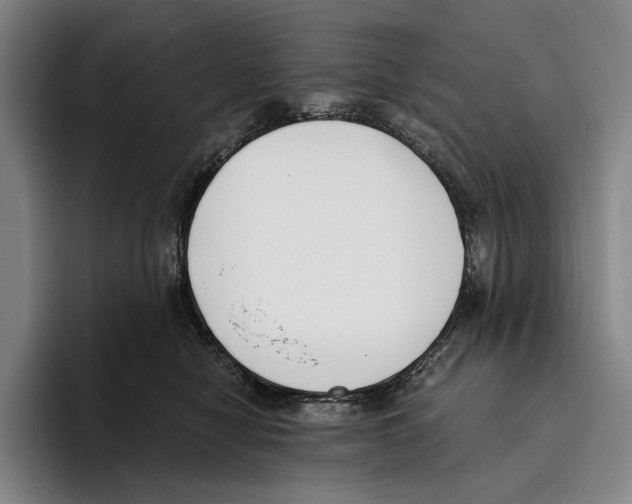 X0000096140470200802151338