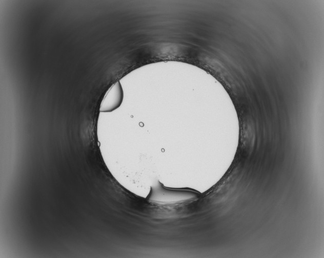 X0000096140473200802151338