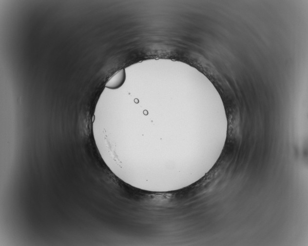 X0000096140474200802151338
