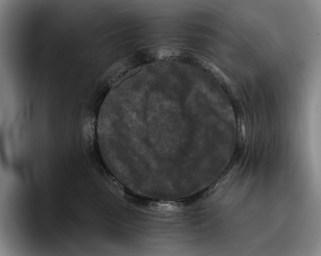 X0000096140475200802151338