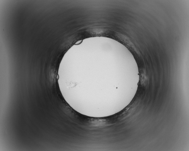 X0000096140476200802151338