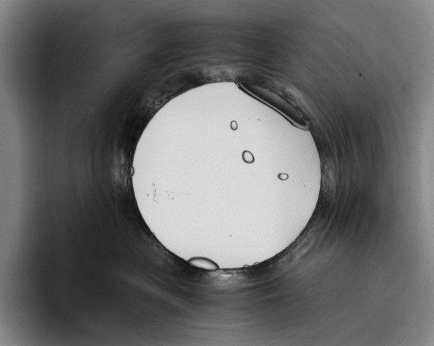 X0000096140477200802151338