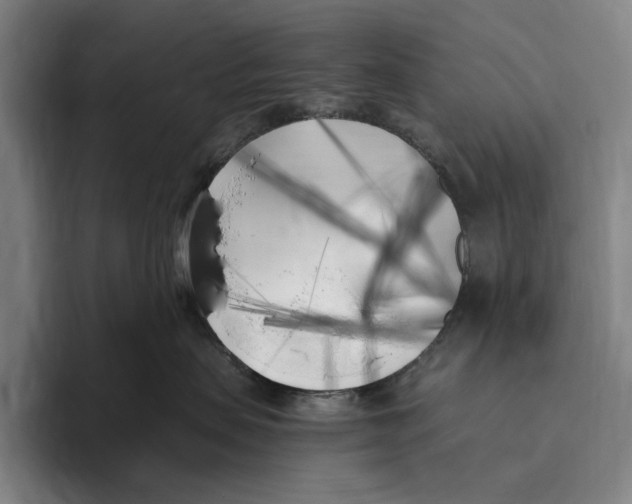 X0000096140479200802151338