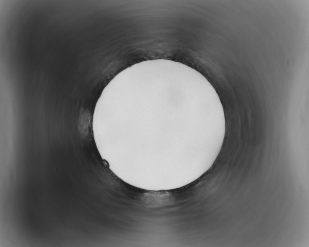X0000096140480200802151338
