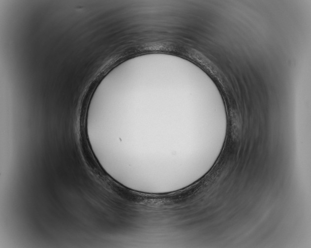 X0000096140482200802151337