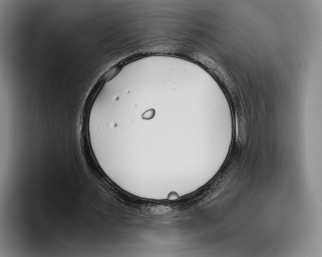X0000096140483200802151337