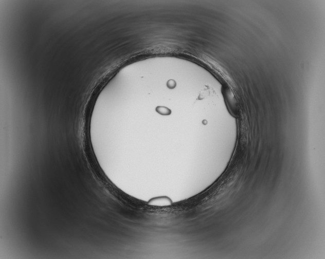 X0000096140485200802151337