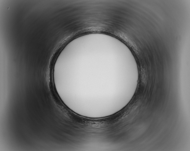 X0000096140486200802151337