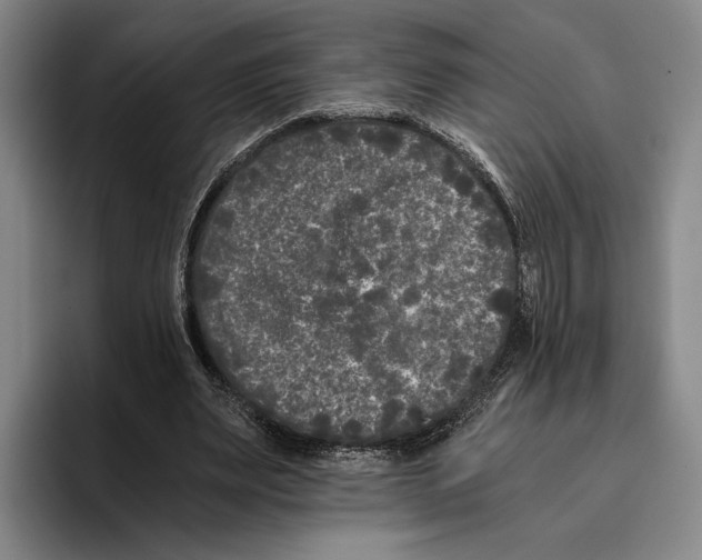 X0000096140487200802151337