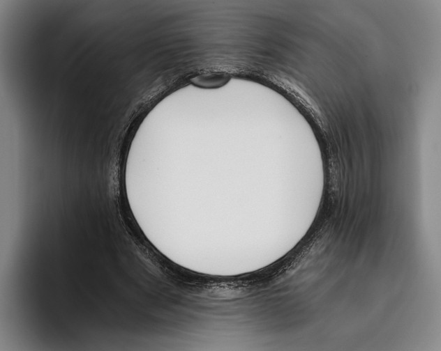 X0000096140489200802151337