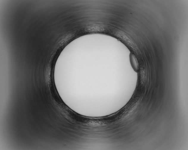 X0000096140490200802151337