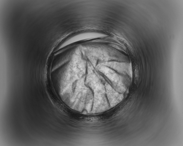 X0000096140492200802151337