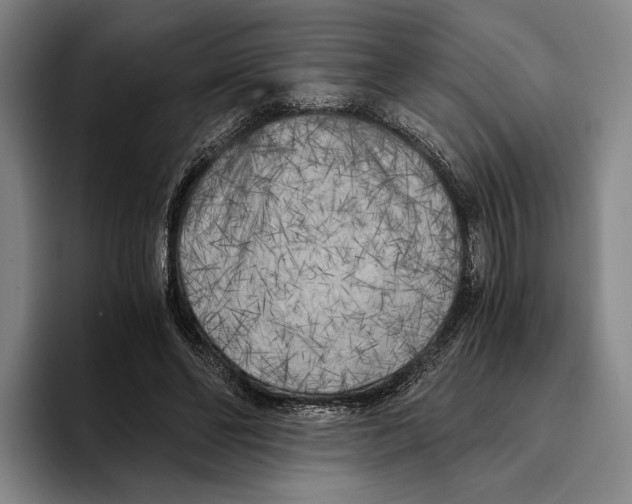 X0000096140494200802151337