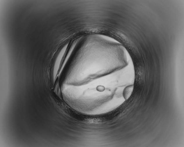 X0000096140500200802151337