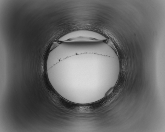 X0000096140501200802151337