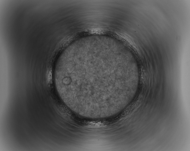 X0000096140502200802151337