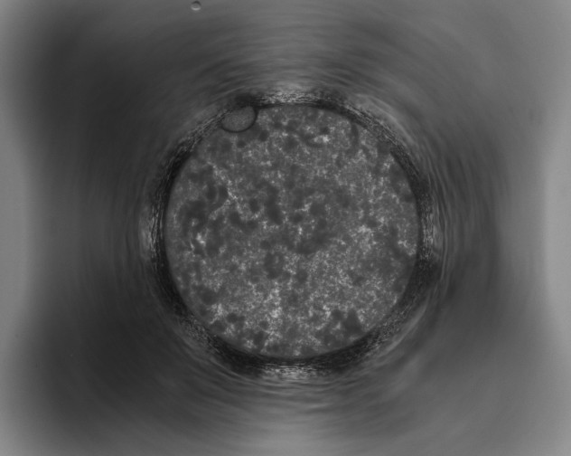 X0000096140503200802151337