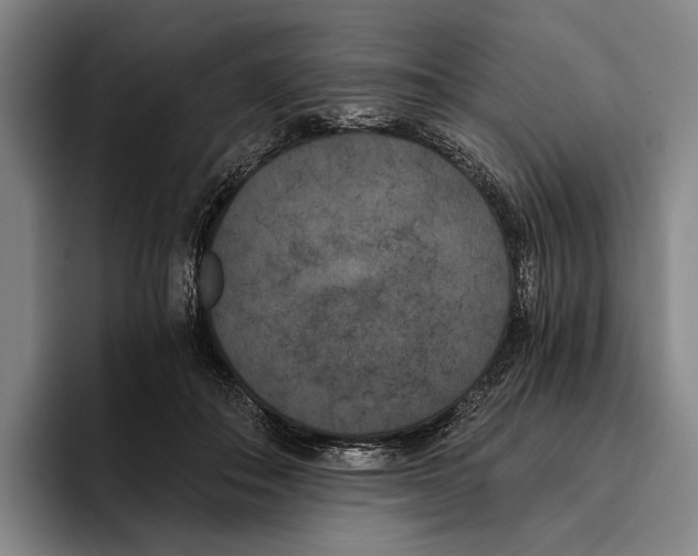 X0000096140506200802151337