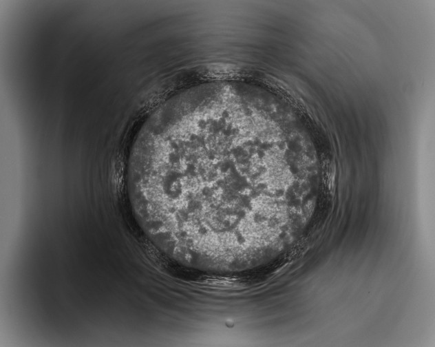 X0000096140507200802151337