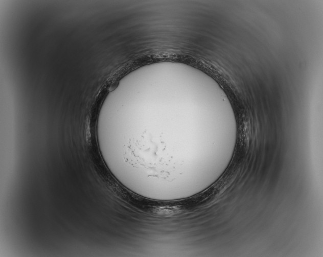 X0000096140508200802151337