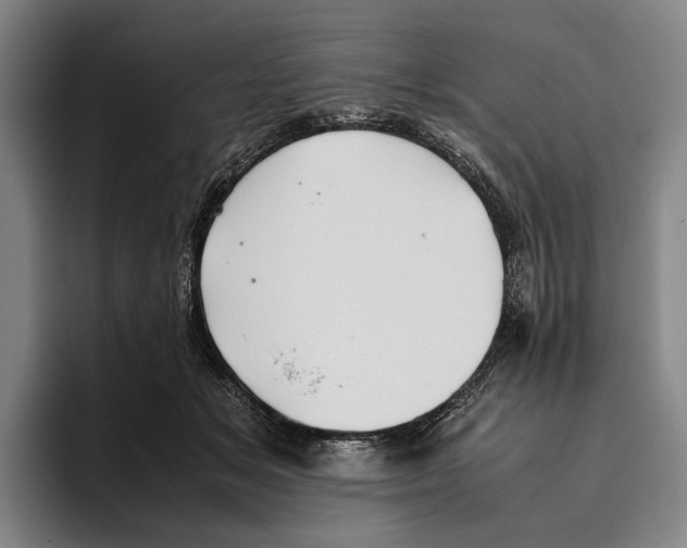 X0000096140509200802151337