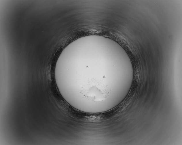 X0000096140512200802151337