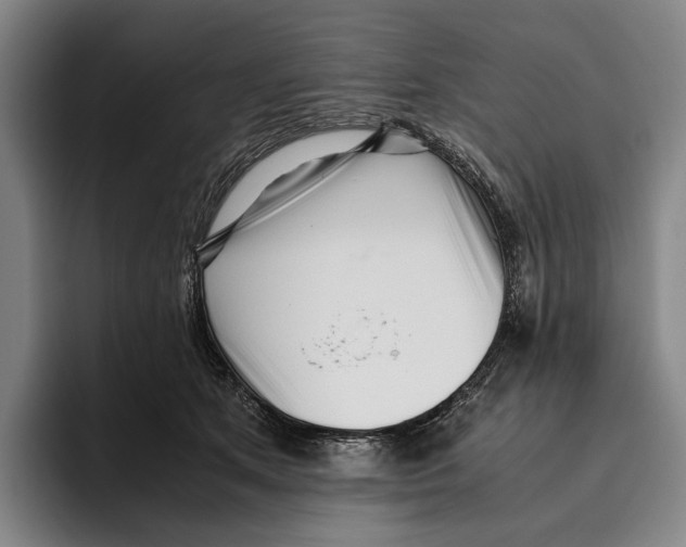 X0000096140513200802151337