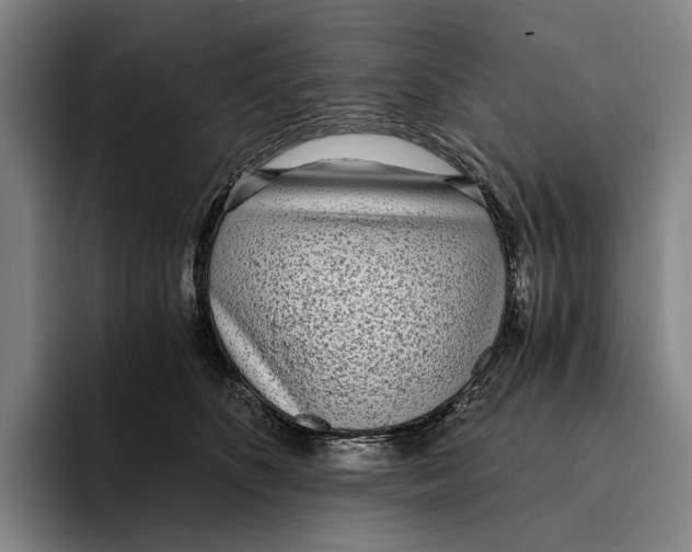 X0000096140516200802151337
