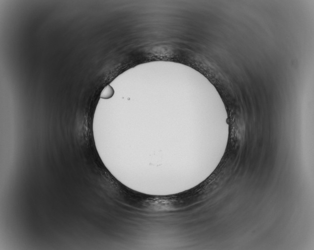 X0000096140518200802151337
